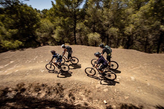 Malaga E-MTB Tour: Botanical Garden, Natural Park and Port of Malaga - Why This Ride Gives You More Than a City Tour