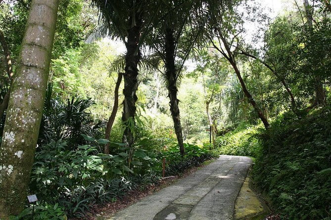 Malaysia: Penang Tropical Spice Garden Guided Tours Tickets - Choosing between a weekend guide and an audio tour