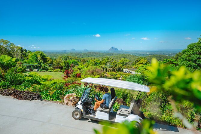 Maleny Botanic Gardens Bird Aviary Experience Ticket - Picnic views, coffee, and food choices