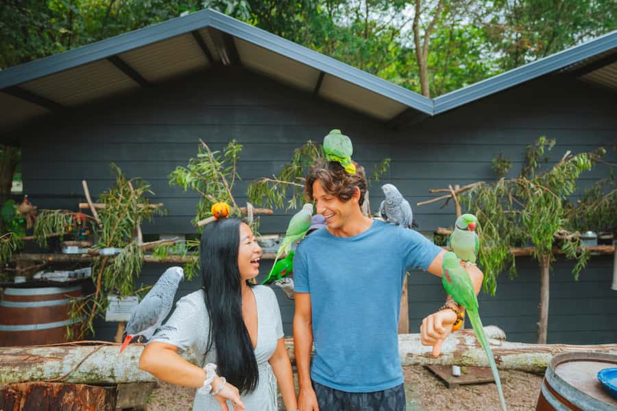 Maleny: Maleny Botanic Gardens & Bird World Entry Ticket - Starting with 23 acres of manicured gardens