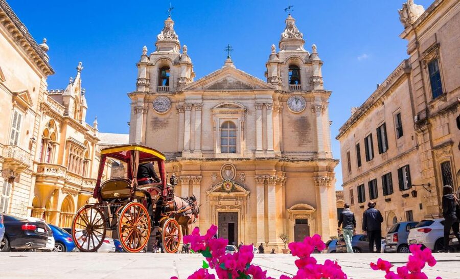 Malta: Mdina, Dingli Cliffs and San Anton Botanical Gardens - Pickup, timing, and what to bring