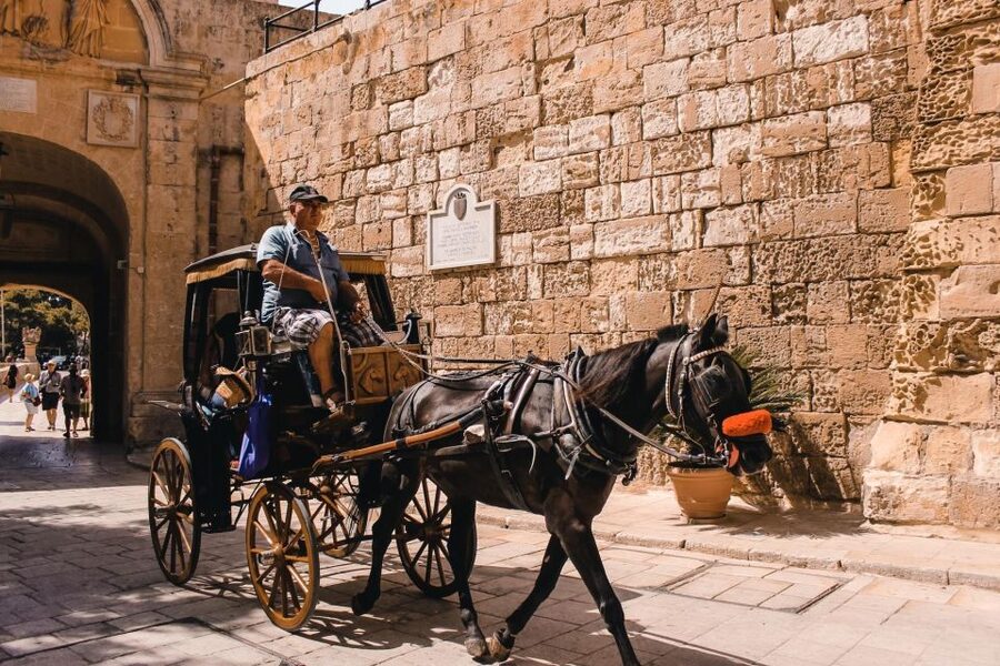 Malta: Mdina, Dingli Cliffs and San Anton Botanical Gardens - Who should book this Malta tour?