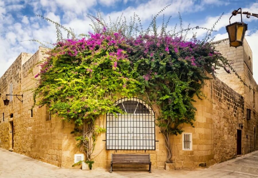 Malta: Mdina, Dingli Cliffs and San Anton Botanical Gardens - Should you book it?