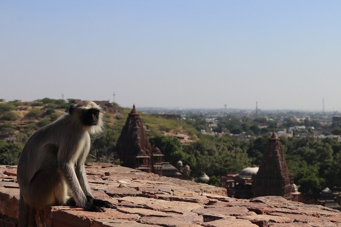 Mandore Garden Walking Tour - Why Mandore matters to Jodhpur’s story
