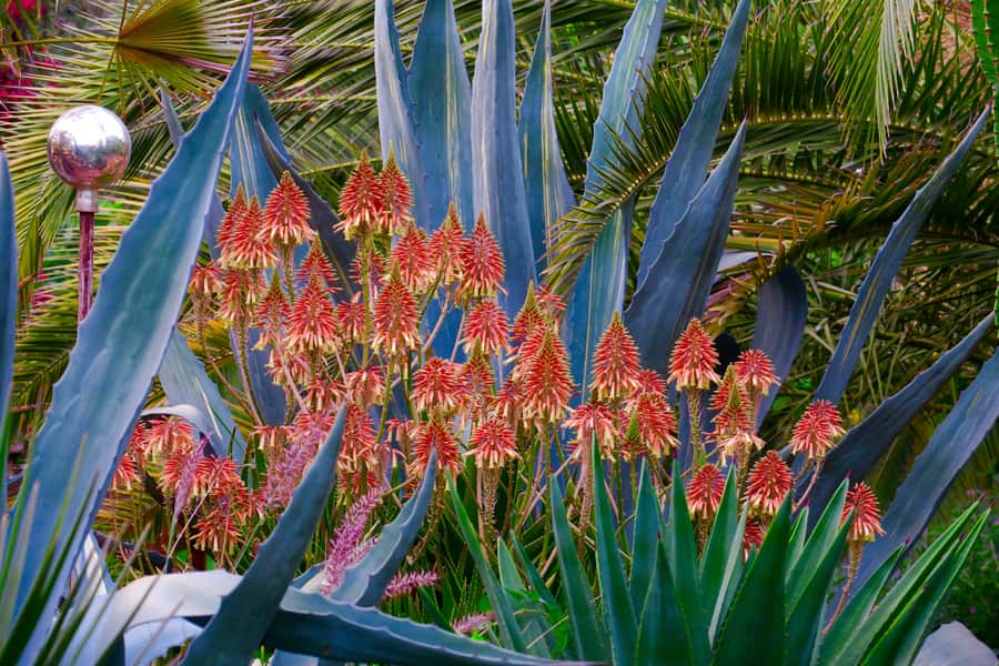 Marrakech: André Heller's ANIMA Garden Ticket - Art among the plants, not art behind glass