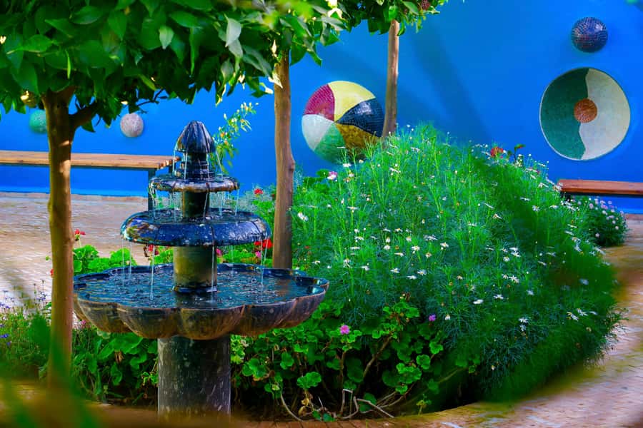 Marrakech: André Heller's ANIMA Garden Ticket - Practical tips for a smoother visit
