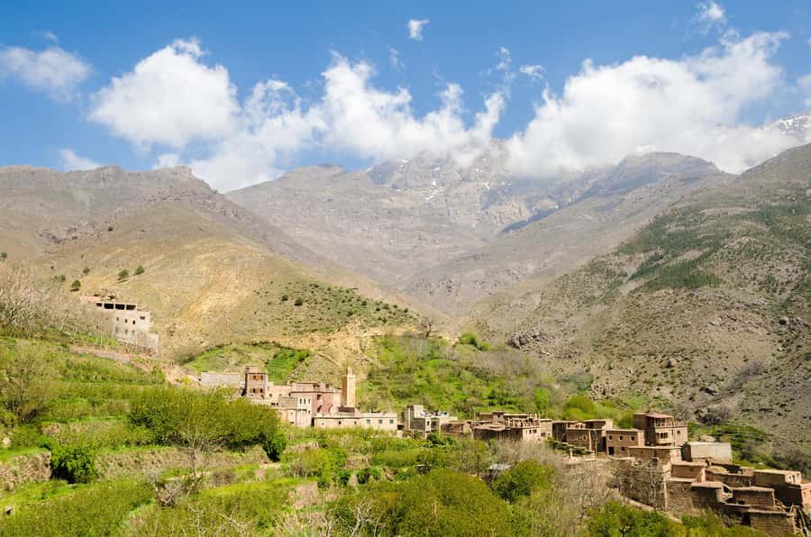Marrakech: Anima Garden, Saffron Farm and Ourika Valley Trip - Saffron farming and a cup of local tea