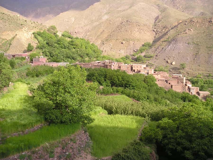 Marrakech: Anima Garden, Saffron Farm and Ourika Valley Trip - Lunch beside the Ourika River