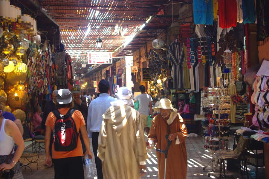 Marrakech: Guided City and Gardens Highlights Tour - Menara Garden ends the route with open views