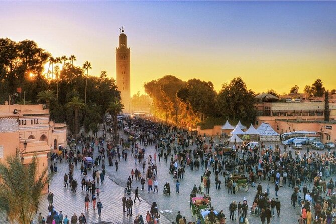 Marrakech: Guided City & Gardens Highlights Tour - Menara Garden brings the Atlas Mountains into view