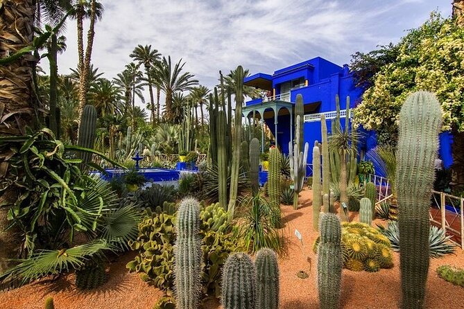 Marrakech: Guided City & Gardens Highlights Tour - Lunch is the biggest detail to clarify