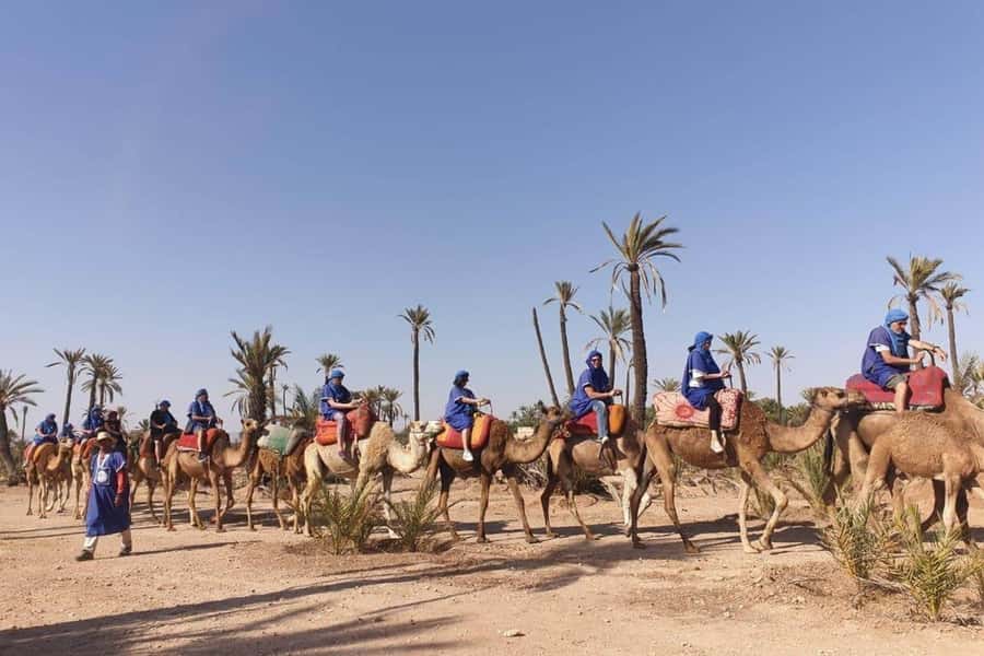 Marrakech: Majorel Garden, Camel ride in Palmerai, City trip - Key points at a glance