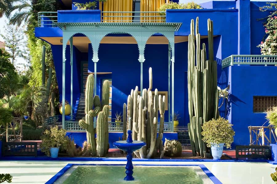 Marrakech: Majorel Garden, Camel ride in Palmerai, City trip - The Palmeraie camel ride and tea stop