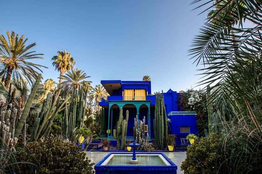 Marrakech: Majorel Garden, Camel ride in Palmerai, City trip - Final call: a colorful introduction with a few loose details