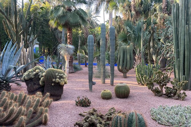 Marrakech Majorel garden entry ticket - A realistic one to three hour visit