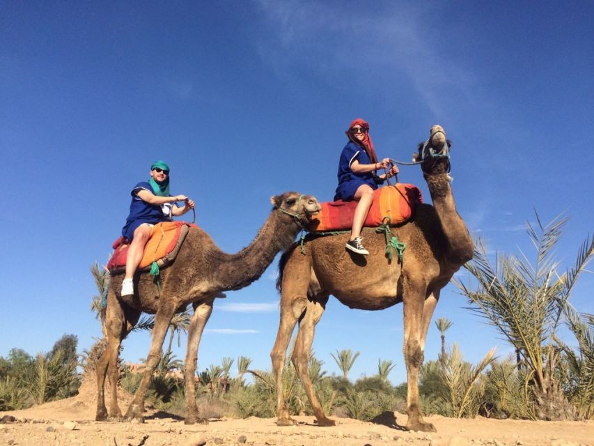 Marrakech: Majorelle Garden Entry Tickets Online - What You Actually Get for $46