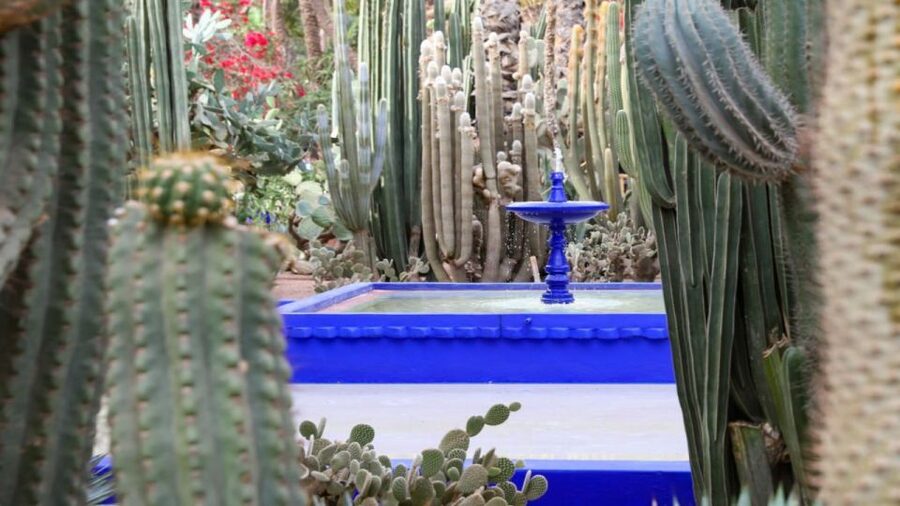 Marrakech: Majorelle Garden Entry Tickets Online - Shaded Paths and Carefully Framed Views
