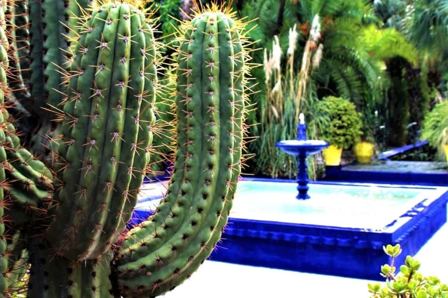 Marrakech: Majorelle Garden, Museums Tickets, & Audio Guide - Key points to know before you go