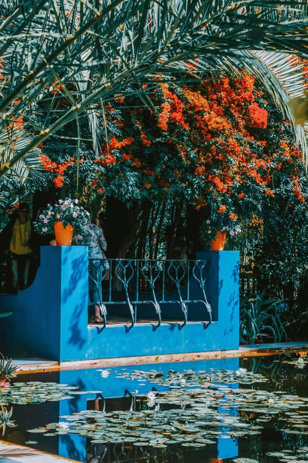 Marrakech: Majorelle Garden, Museums Tickets, & Audio Guide - Is $68 good value?