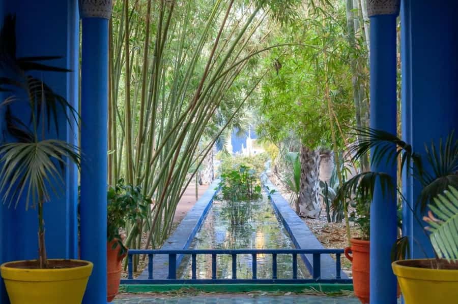 Marrakech: Majorelle Garden with a Digital Audio Guide App - The Famous Cobalt-Blue Buildings