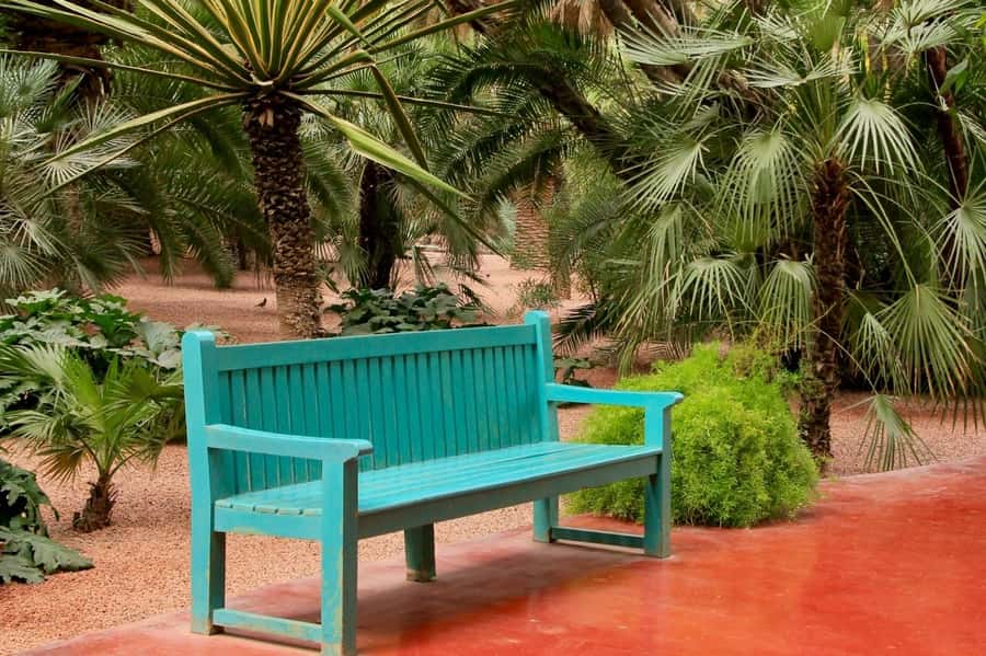 Marrakech: Majorelle Garden, YSL, and Berber Museum Entry - Is $58 a fair price?