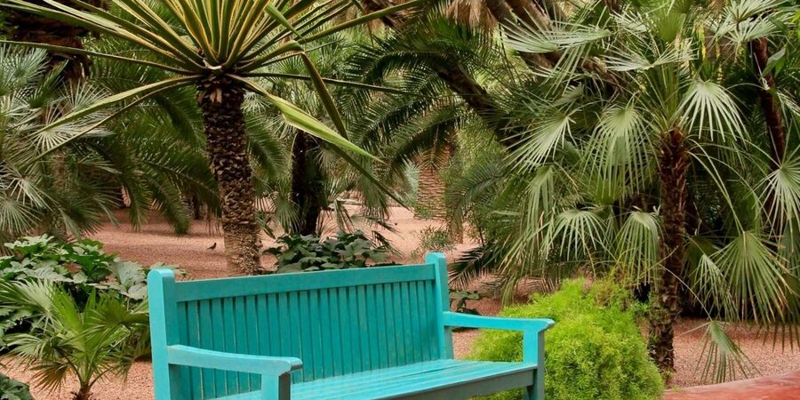 Marrakech: Majorelle Garden, YSL, and Berber Museum Entry - Who will enjoy this outing?