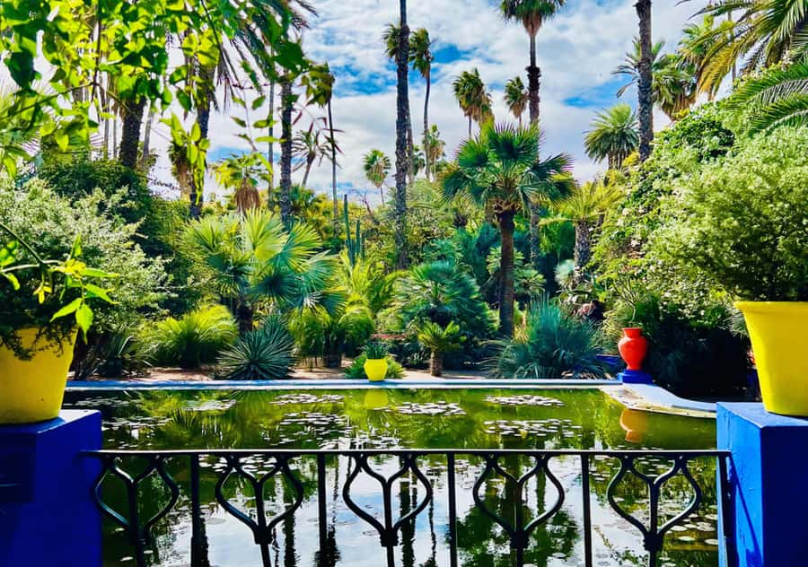 Marrakech: Majorelle & Menara Garden Tour and Carriage Ride - Key points to know before booking