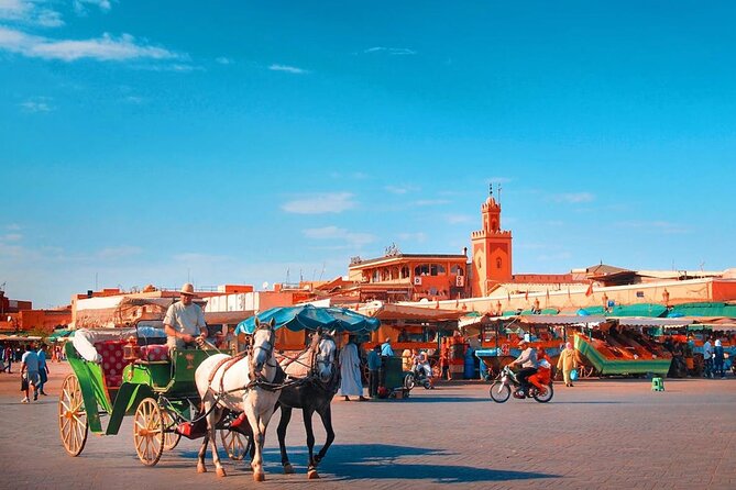 Marrakech : Ourika Valley & Anima Garden Full-Day Trip - Key points at a glance