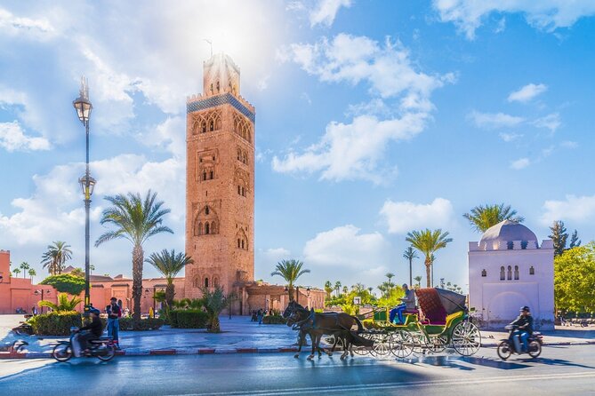 Marrakech : Ourika Valley & Anima Garden Full-Day Trip - What the $173.83 price really covers
