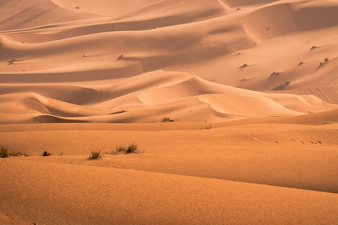 Marrakech : Ourika Valley & Anima Garden Full-Day Trip - Who will enjoy this day most?