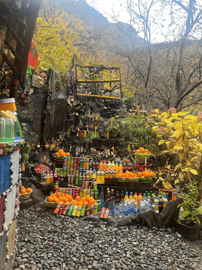 Marrakech: Ourika Valley Full-Day Atlas Mountain Guided Tour - Choosing the Setti Fatma waterfall walk