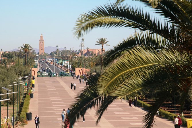 Marrakech Tour Gardens Majorelle, Menara & Anima Gardens - What the driver adds to the day