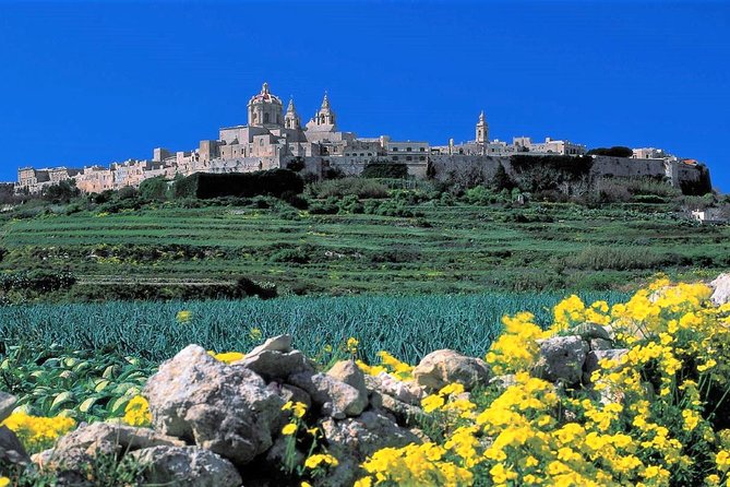 Mdina, Dingli cliffs and San Anton Gardens guided tour - Transport is convenient, but the handoff can be messy