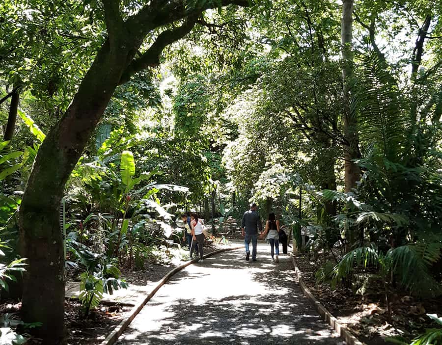 Medellín: Botanical Garden and Arvi Park City Tour - Who should book this tour?