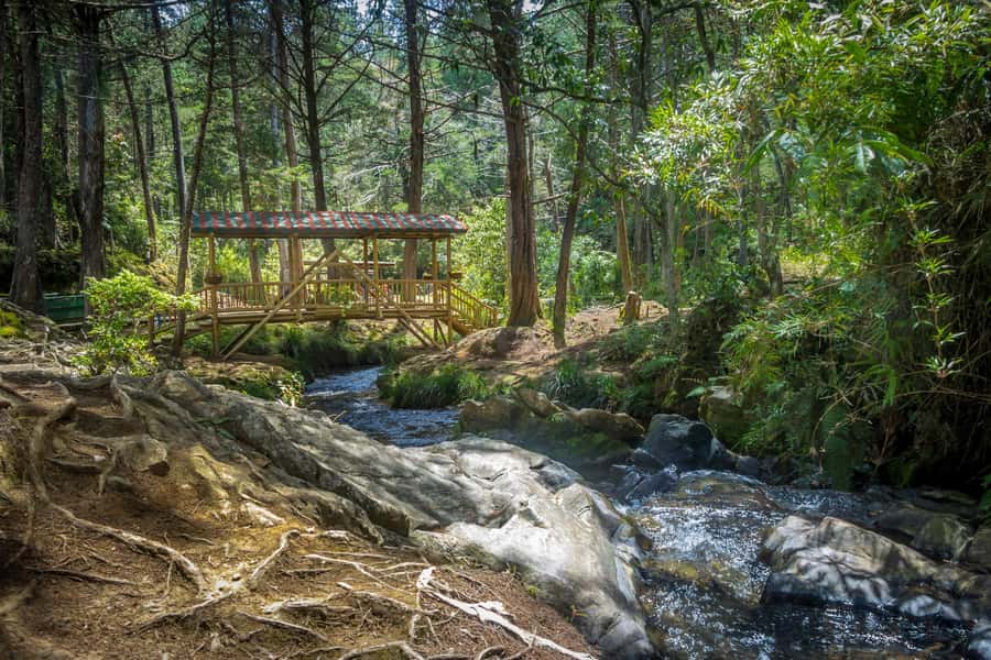Medellín: Botanical Garden and Arvi Park City Tour - Why this Medellín combination works