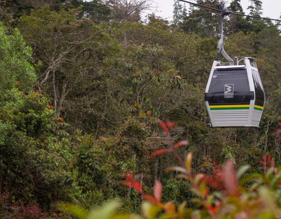 Medellín: Botanical Garden and Arvi Park City Tour - Walking through Medellín’s Botanical Garden