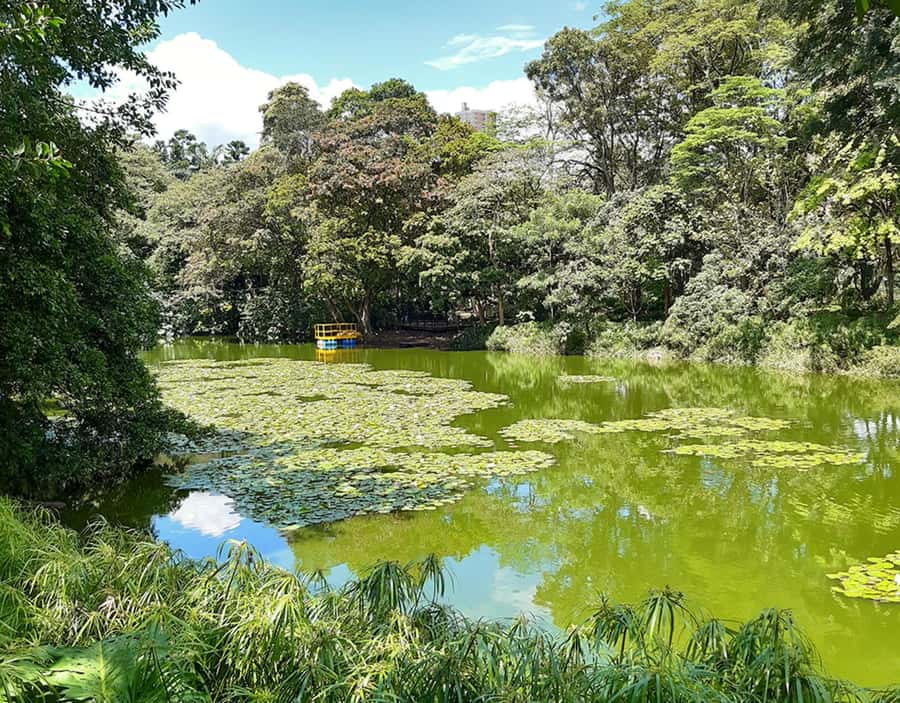 Medellín: Botanical Garden and Arvi Park City Tour - Exploring Arví Park’s forest trails