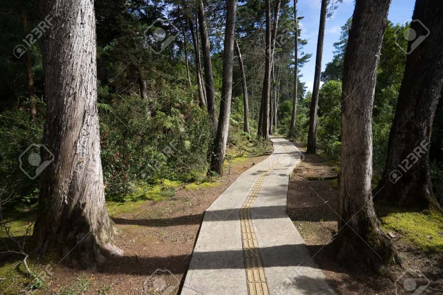 Medellín: Botanical Garden and Arvi Park City Tour - Guide quality can shape the morning