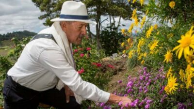 Medellín: Flower Farm & Silletero History Tour