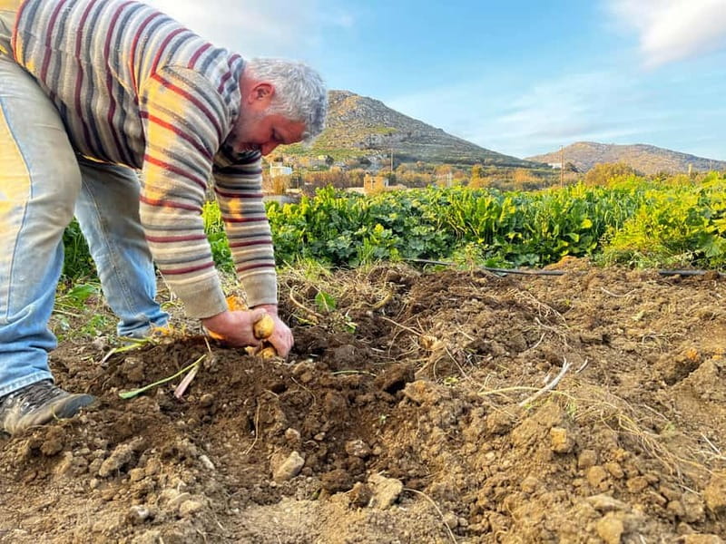Melanes Tour: Village Highlights & Garden-to-Table Meal - Why Melanes makes a good inland break from Naxos