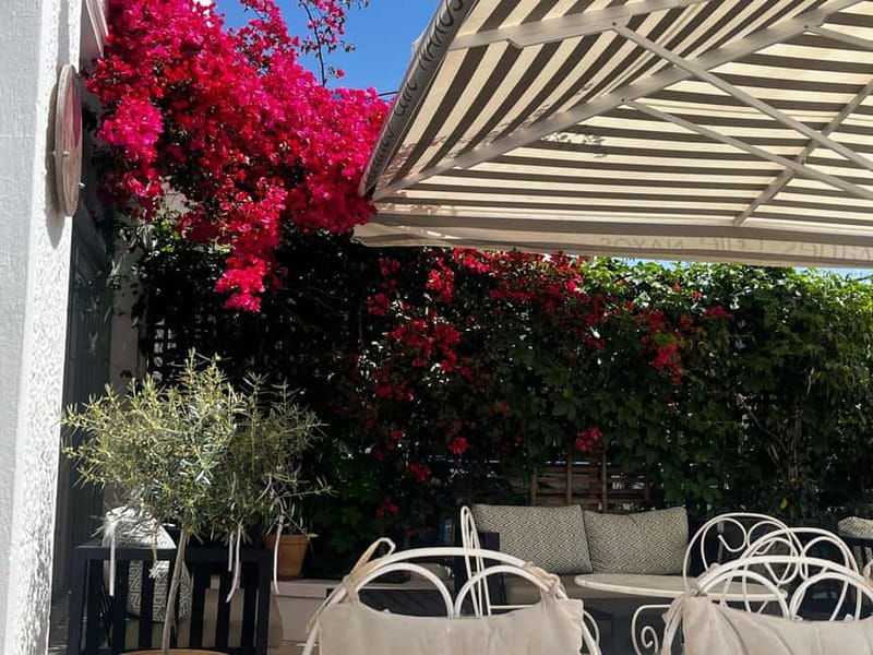 Melanes Tour: Village Highlights & Garden-to-Table Meal - Old houses and the boutì veranda
