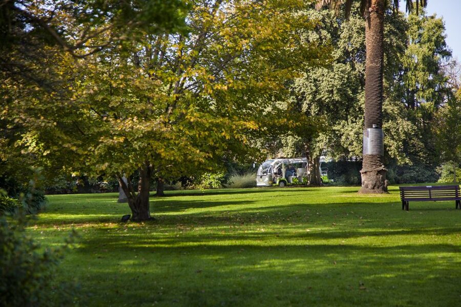 Melbourne: Melbourne Gardens Explorer Minibus Tour - Key points to know before you go
