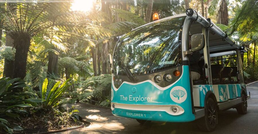 Melbourne: Melbourne Gardens Explorer Minibus Tour - Rolling lawns, global plants, and open-air views