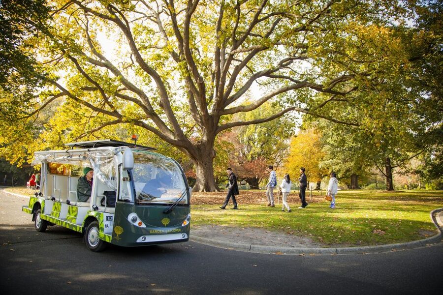 Melbourne: Melbourne Gardens Explorer Minibus Tour - Starting at Birdwood Avenue and the Visitor Centre