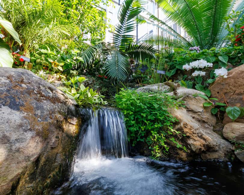Memphis Botanic Garden Entry Ticket - My Big Backyard, a Strong Family Stop