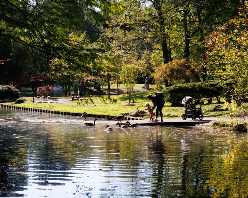 Memphis Botanic Garden Entry Ticket - What $12 Gets You