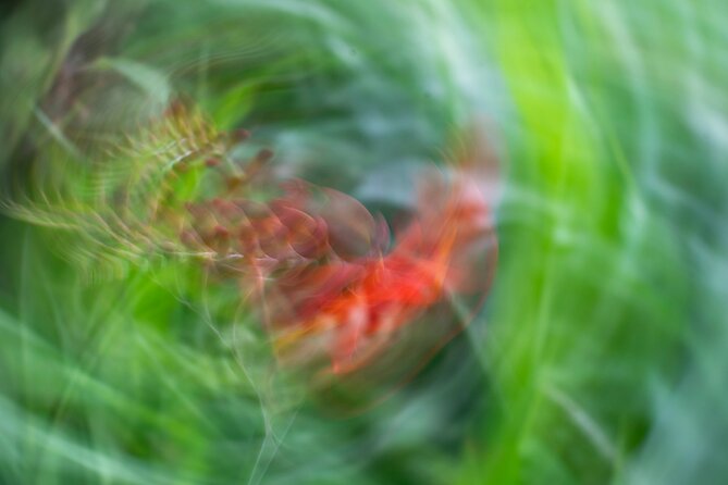 Mindful Photo Walk at Princess Pavilion & Gyllyngdune Gardens - Practical Tips Before You Meet Marc