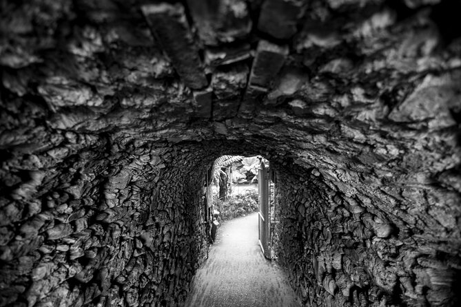 Mindful Photo Walk at Princess Pavilion & Gyllyngdune Gardens - Starting at Princess Pavilion and Gyllyngdune Gardens
