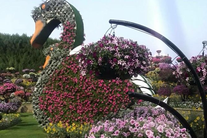 Miracle Garden & Butterfly Garden with Ticket & Private Transfers - A cooler second stop at Butterfly Garden