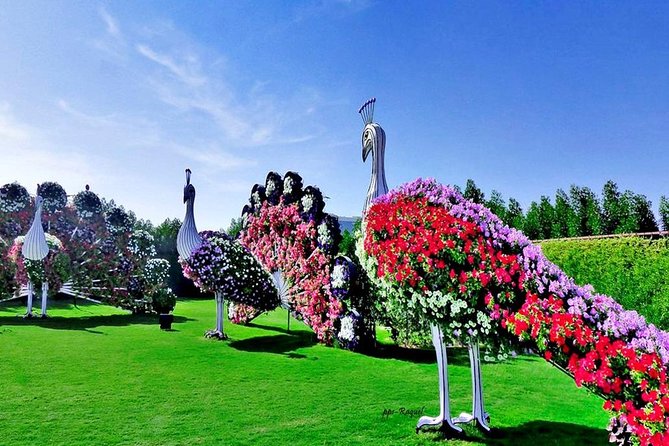 Miracle Garden: Dubai Flora and Fauna 4-Hour Tour - What you may like, and what may test your patience